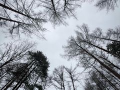 -洛阳白云山景区