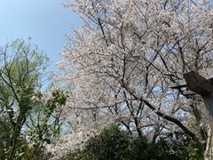 -白马涧龙池景区