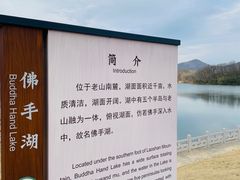 -佛手湖郊野公园