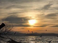 -捞渔河湿地公园