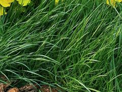 -咸阳湖景区-古渡公园