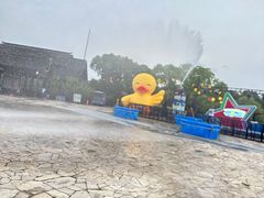 -苏州太湖国家湿地公园