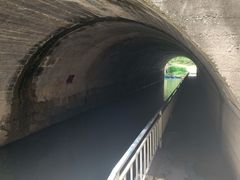 -白水寺森林公园