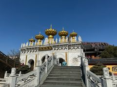 -上海东林寺(金山区)