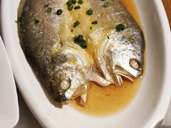 清蒸咸黄鱼-华盛丰温州大排档(东三环南路店)