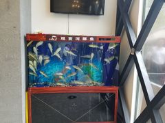 -肆月河豚·新淮扬(金融街店)