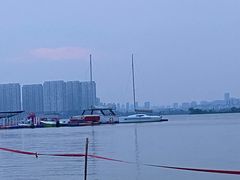 -瑶湖郊野森林公园