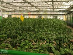 -兰陵国家农业公园