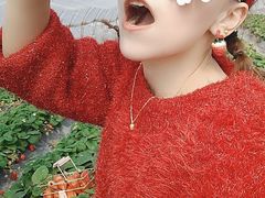 -喜杨洋草莓采摘园