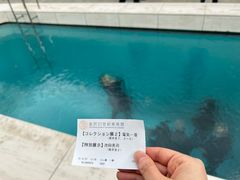 -金泽21世纪美术馆