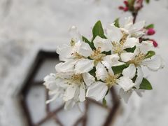 -朝阳公园