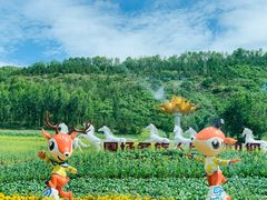 -塞罕坝国家级自然保护区