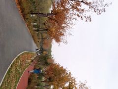 -永定河休闲森林公园