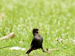 -白沙门生态公园