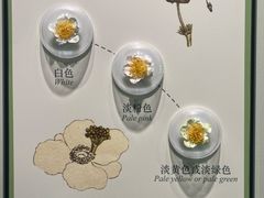-中国茶叶博物馆(双峰馆区)