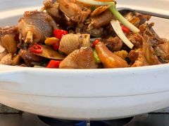 -大树小院