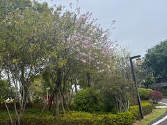 -五缘水乡酒店兰轩中餐厅