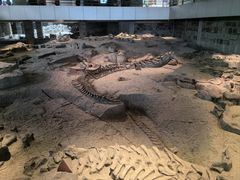 -自贡恐龙博物馆