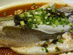 雪菜蒸黄鱼-三六三杭州菜(水上总店)