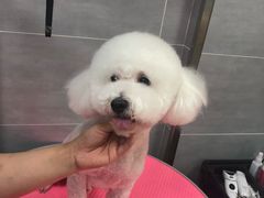 -宠福鑫康馨动物医院·骨科·眼科