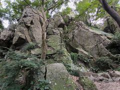 -紫金山山顶公园