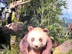 -四川大学博物馆