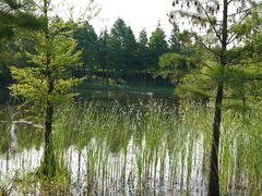 -尚贤河湿地