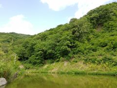 -天女山森林公园