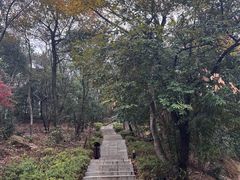 -岳麓山风景名胜区