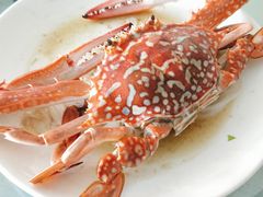 -南蚝小贝海鲜特色餐厅(南澳岛店)