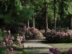 -上海滨江森林公园