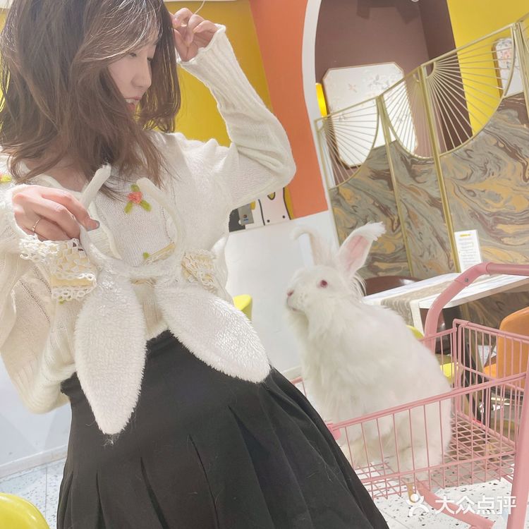 🐰：你们拍吧，不用管我