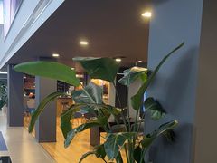 -上海永达奥迪4S店(张杨路店)