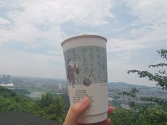 -茶颜悦色(岳麓山顶店)