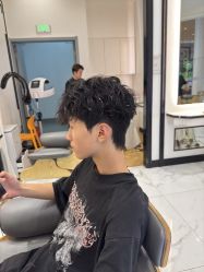 -YESIDO椰岛造型