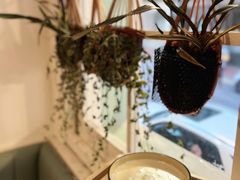 -杏甜品(尖沙咀加拿分道店)
