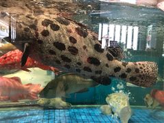 -聚福宝合苑食府(南头镇店)