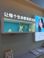 -长沙雅美医疗美容医院