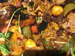 -食乐佳麻辣香锅(森林摩尔商业街区店)