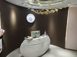 -MUSES专业脱毛比基尼サロン日式连锁