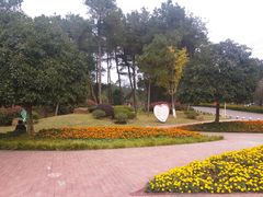 -铁山坪森林公园