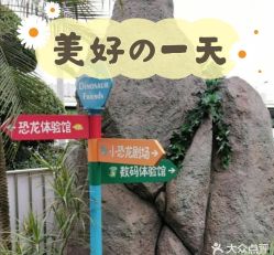 -恐龙探索乐园(磁器口店)