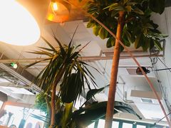 -the rug 飞毯 (朝阳公园店)