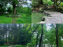 -杭州上天竺法喜讲寺
