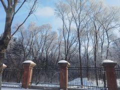 -黑龙江省森林植物园