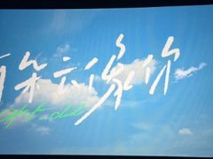 -武汉华夏国际影城(鲁广店)