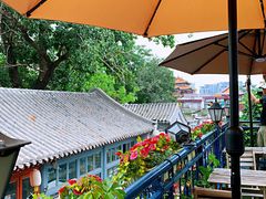 -Sirena海妖日咖夜酒