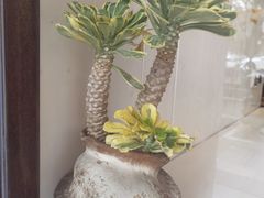 -fishtank鱼缸咖啡(三山街店)
