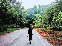 -素山寺森林公园