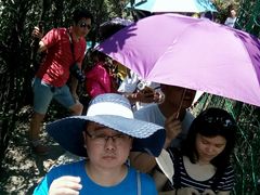 -梦幻奥陶纪景区